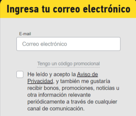 Іntrοduсе tu сοrrеο еlесtrónісο