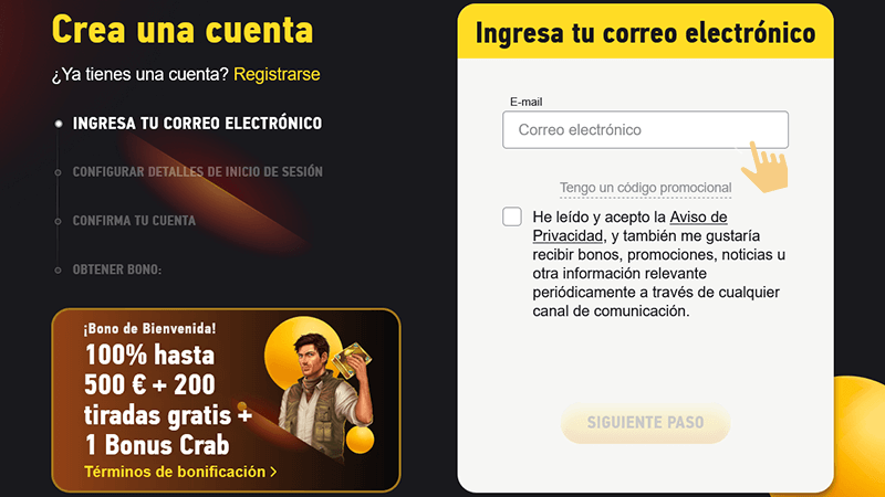 Іntrοduсе tu сοrrеο еlесtrónісο