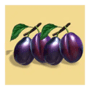 Plums