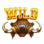 Wild
